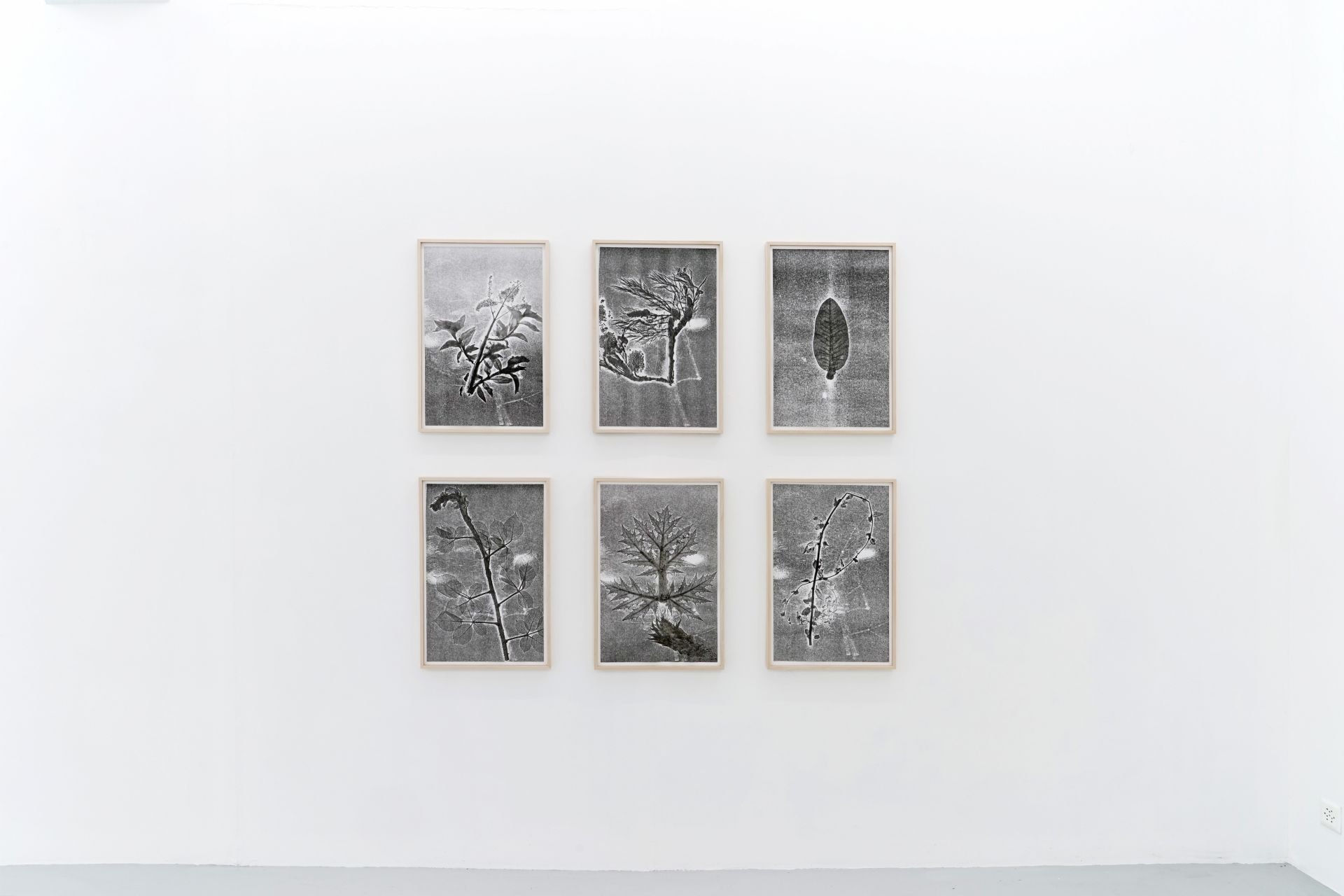 LF2019 Sebastian Utzni 25