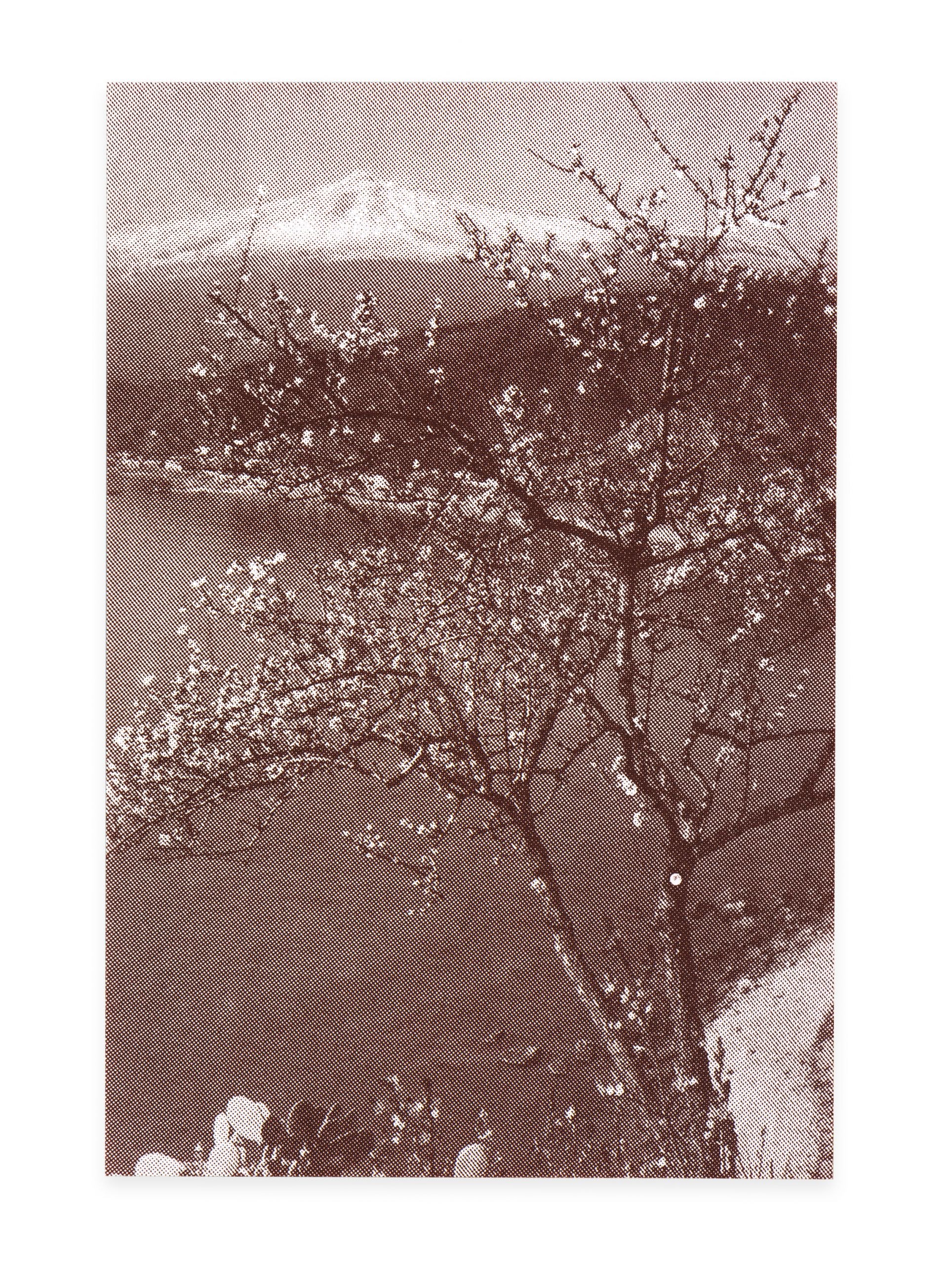 Utzni S Vulkane 20240828 0003 KORR